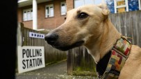 Election 2024: Who could be in the running for Tory leadership post-July 4?